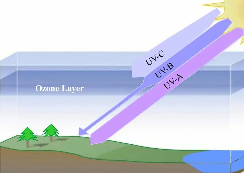 انواع اشعه ماورا بنفش